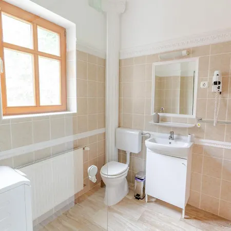 Villa Golden Bridge Deluxe - 4br, Terrace, Bar, Privat Pool, Grill Balatonfüred